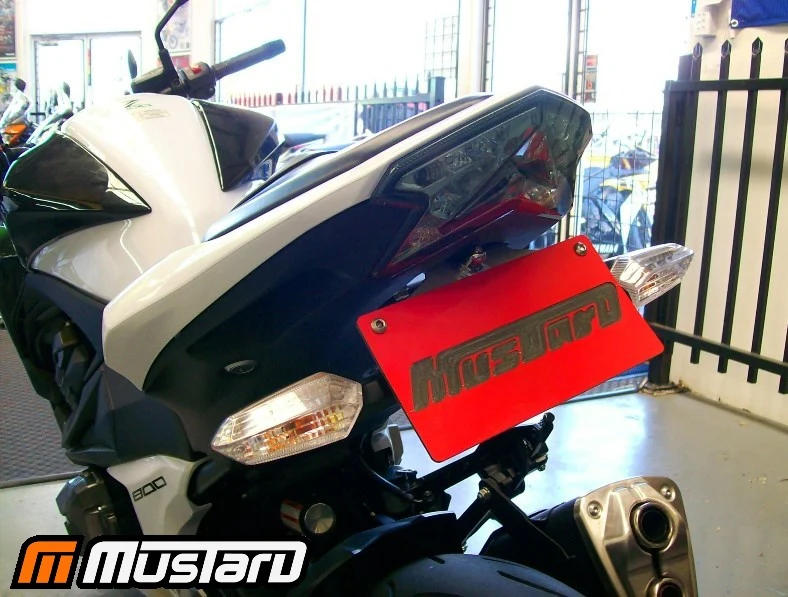 2013-2016 Kawasaki Z800 Fender Eliminator