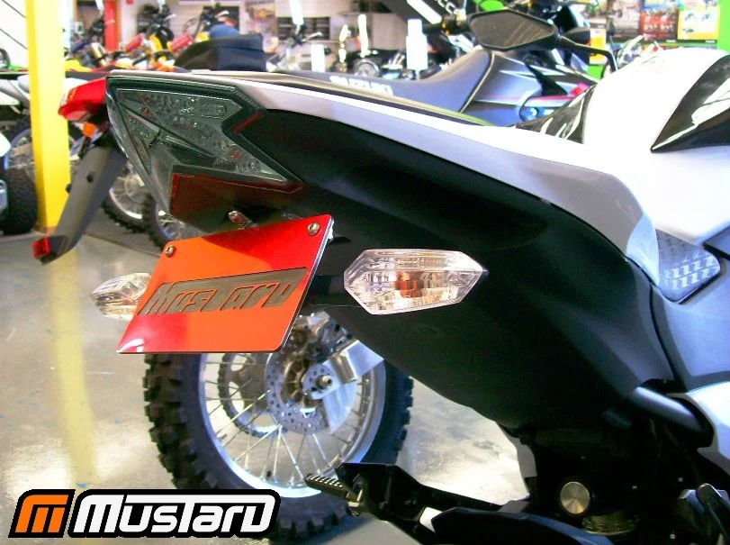 2013-2016 Kawasaki Z800 Fender Eliminator - Image 2