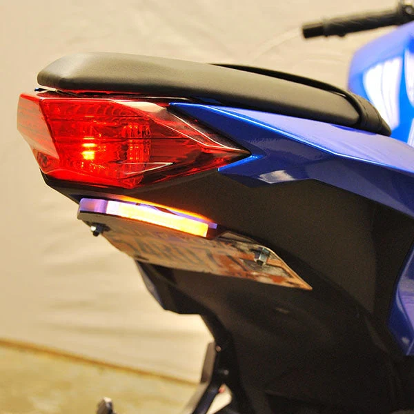 2013-2017 Kawasaki Ninja 300 Fender Eliminator with LED Turn Signals - Image 3