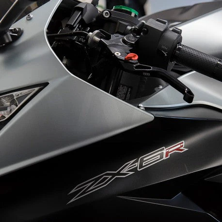 2017-2019 Kawasaki Ninja 1000 Shorty Levers by Womet-Tech - Image 3