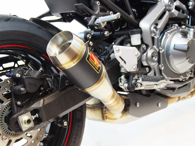 2017-2020 Kawasaki Z900 GP Slip-On Exhaust